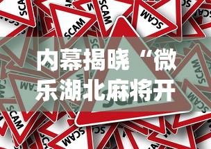 多轮实测 "嘟嘟十三张挂法设置	”分享用挂教程