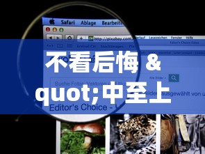 反复测试 "微乐云南麻将怎么样才能赢”详细辅助软件教程