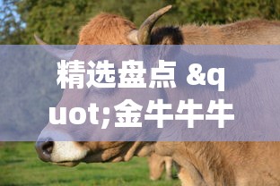 精选盘点 "金牛牛牛有挂吗”能不能开挂!
