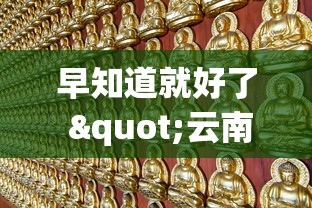早知道就好了 "云南山水麻将怎么开挂”（透视挂）辅助神器教程