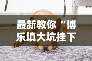 最新教你“博乐填大坑挂下载”详细开挂安装教程